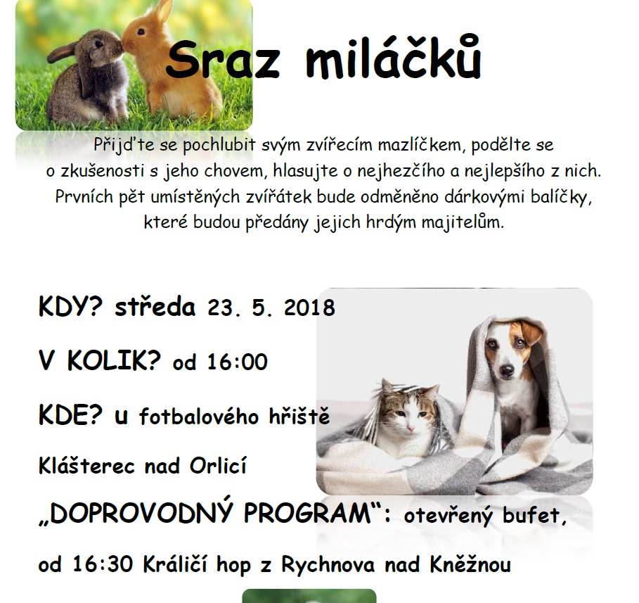 Sraz miláčků - plakát - 2018.jpg